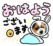 605394558