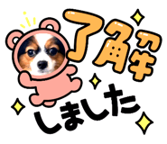 605394559