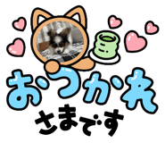 605394561