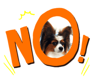 605394565