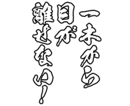 605424779