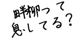 605426036