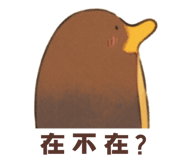 605429264