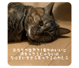 605449516