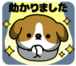 605456909