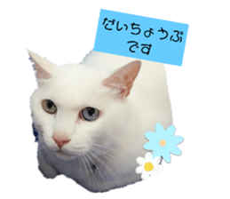 605466863