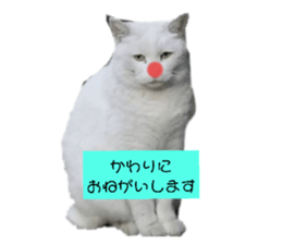 605466865