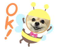 605496521