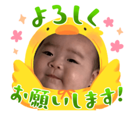605538129