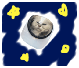 605559479