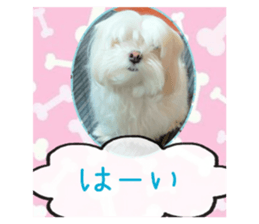 605570389