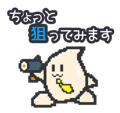 605574876