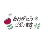 605575983