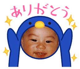 605576675