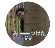 605584344