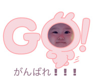 605584533
