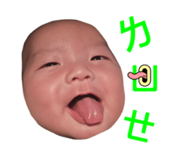 605589503
