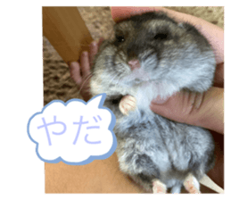 605596735