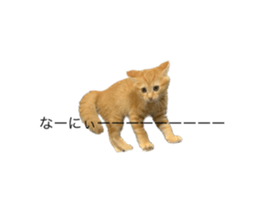 605606515
