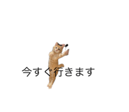 605606517