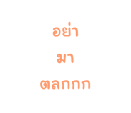 605621808