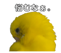 605654720