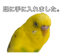 605654721