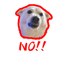 605664082