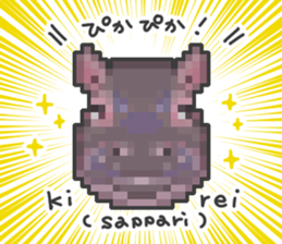 605679504