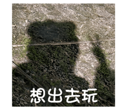 605684027