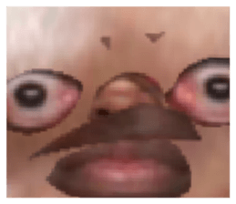 605685213