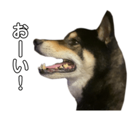 605687243