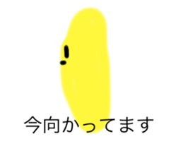 605694116