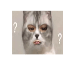 605694851