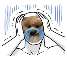 605700914