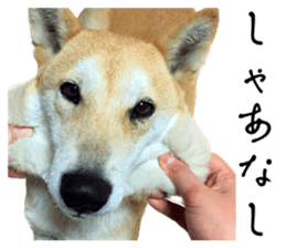 605706016