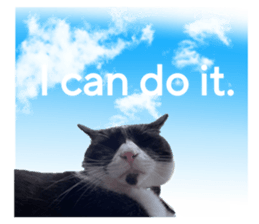 605711065