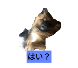 605717614