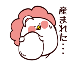 6057593