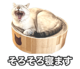 605800404