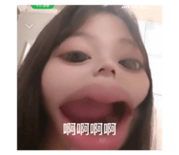 605816648