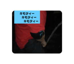 605839759