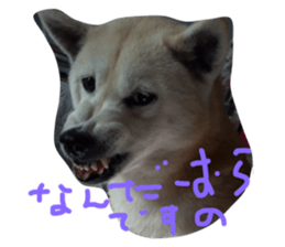 605868318