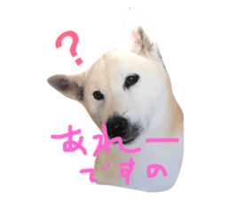 605868320