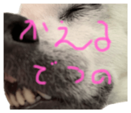 605868329