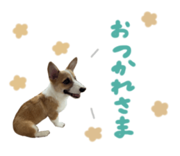 605873147