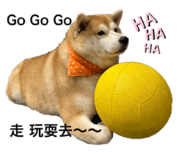 605881730