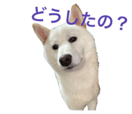 605883711