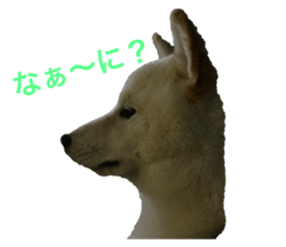 605883717