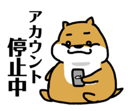 605884302